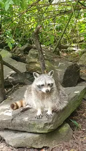 Annelies 08 Even niets wassen net mijn nagels gelakt